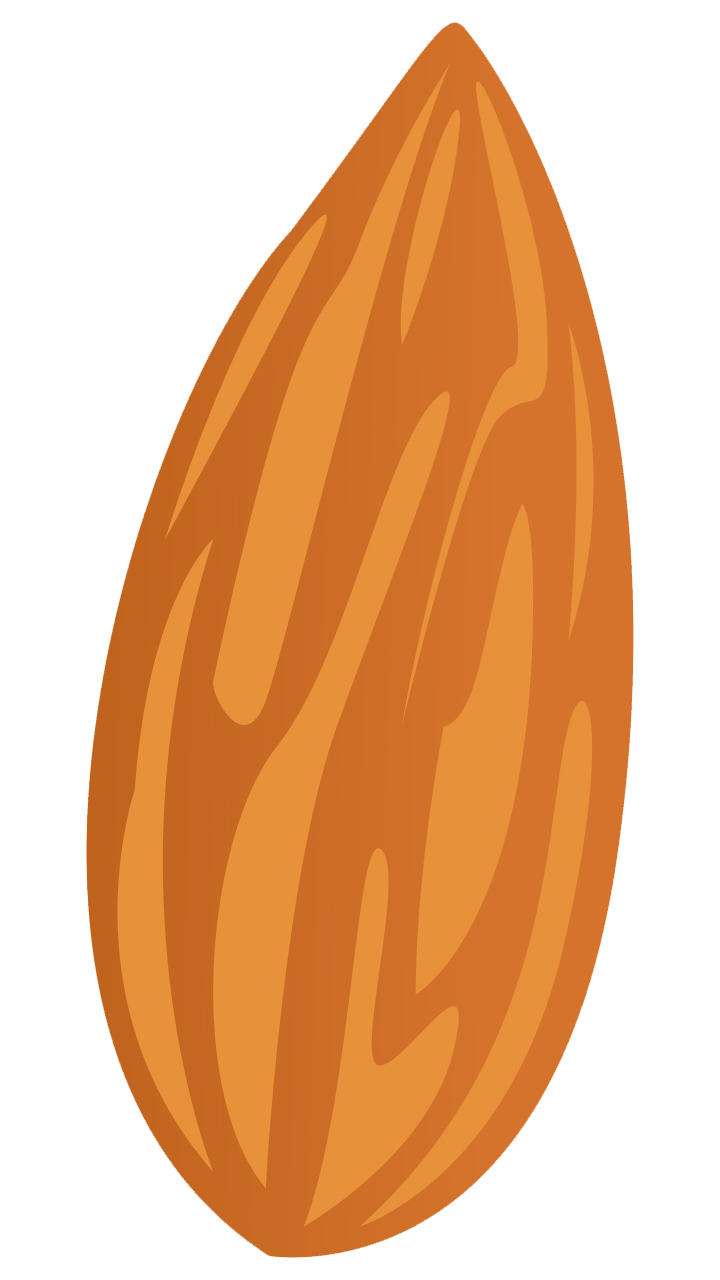 cartoon almond png