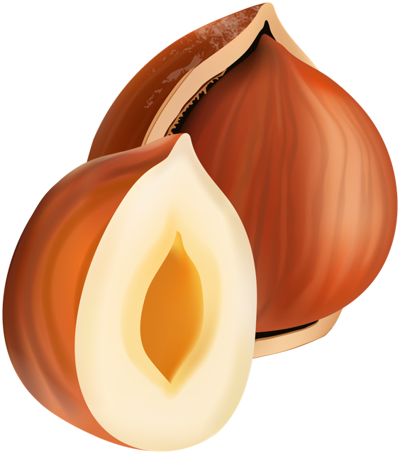 cartoon hazelnut png