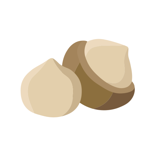 cartoon macadamia nut png