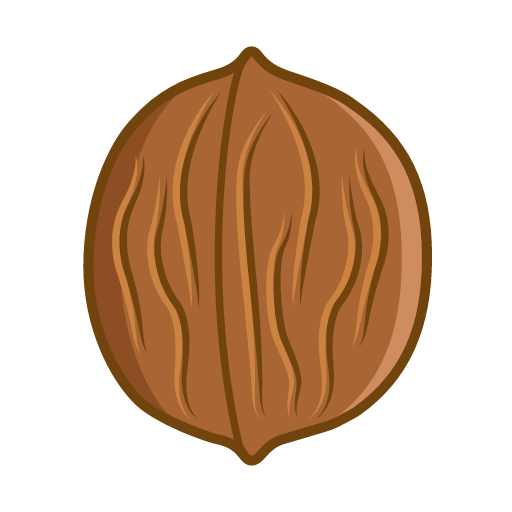 cartoon walnut png